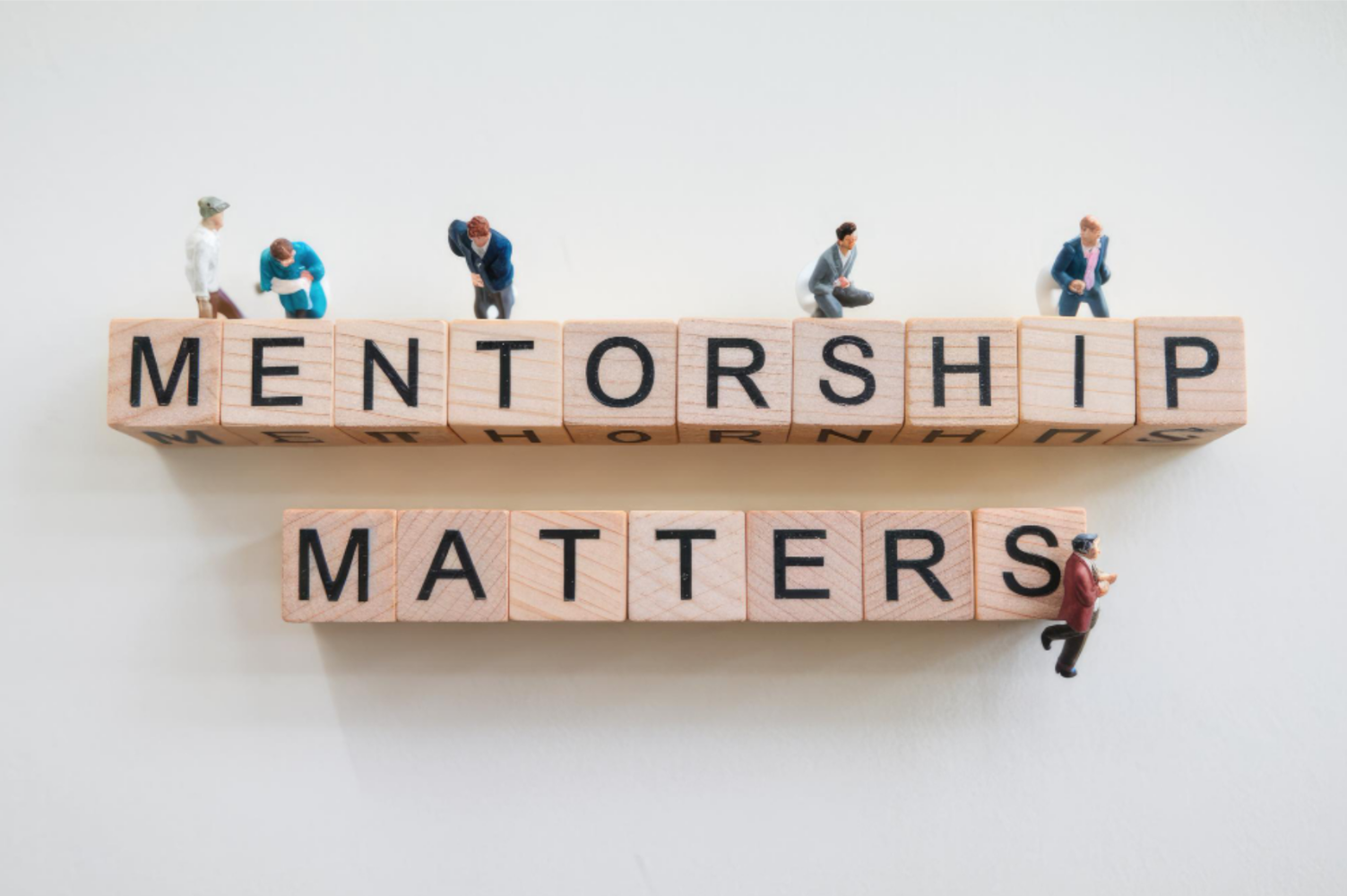 BFF Mentorship Programme4